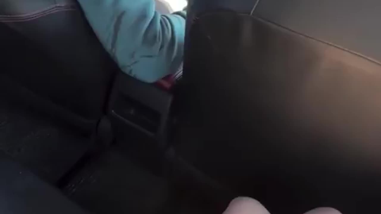 Taxi driver in Egypt moIests defenseless young female tourist.