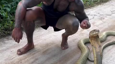 Men kissing cobra 🐍