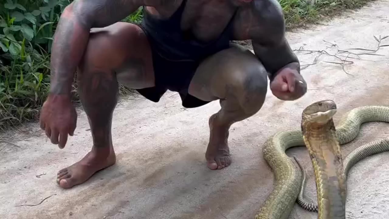 Men kissing cobra 🐍