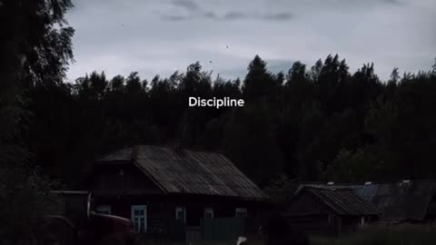 Дисциплина