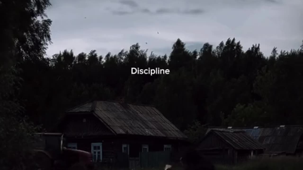 Дисциплина
