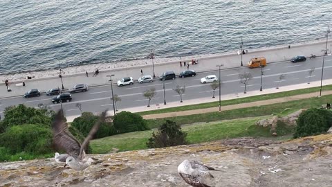 جولة مسائية بحي مرشان الى سوق د برا طنجة 21 11 2025 Morocco Tangier