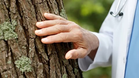 25. “The Best Evening Routine for Seniors’ Health”