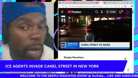 ICE AGENTS invade CANEL STREET in NEW YORK CITY !