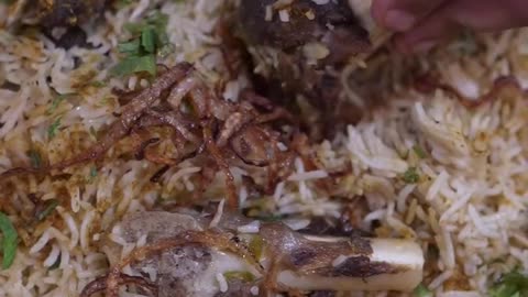 Biryani lover