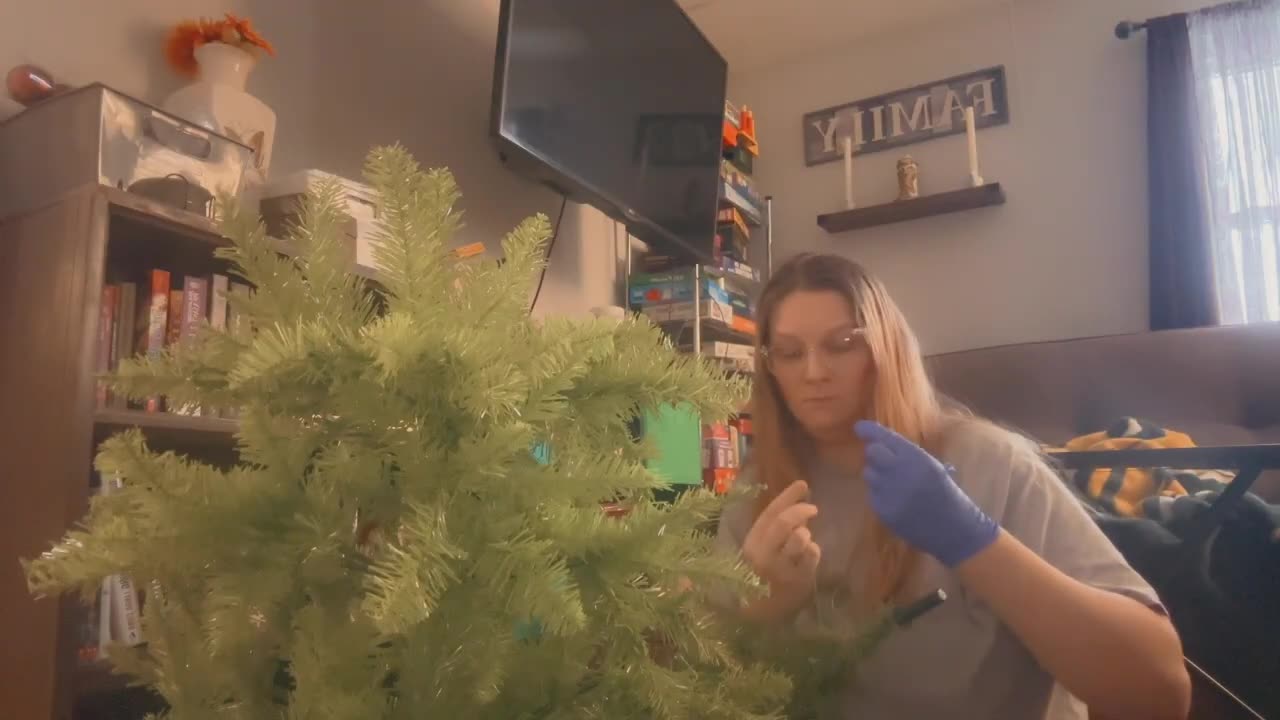 Finally setting up a tree for y’all