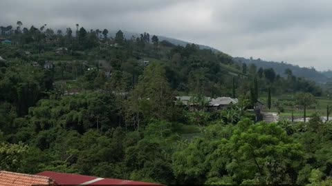 Daily Horoscope | Capricorn 🌟