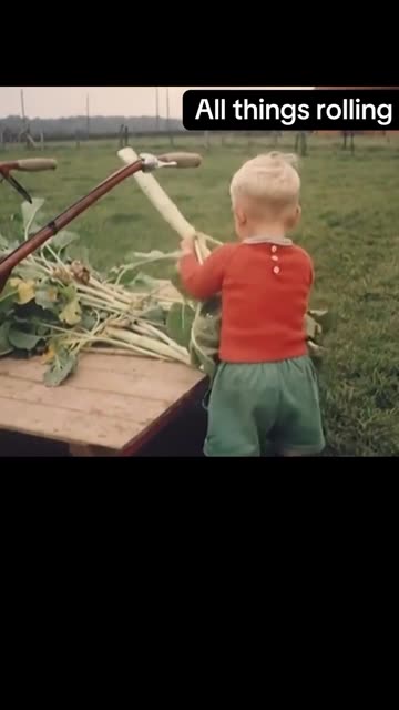 At 2 he's already smarter than most highschool kids these days.