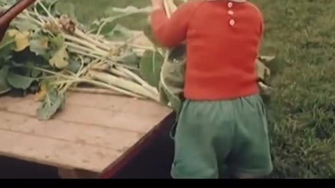 At 2 he's already smarter than most highschool kids these days.