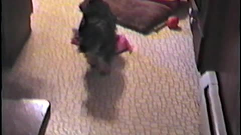1988-NJ-Molly