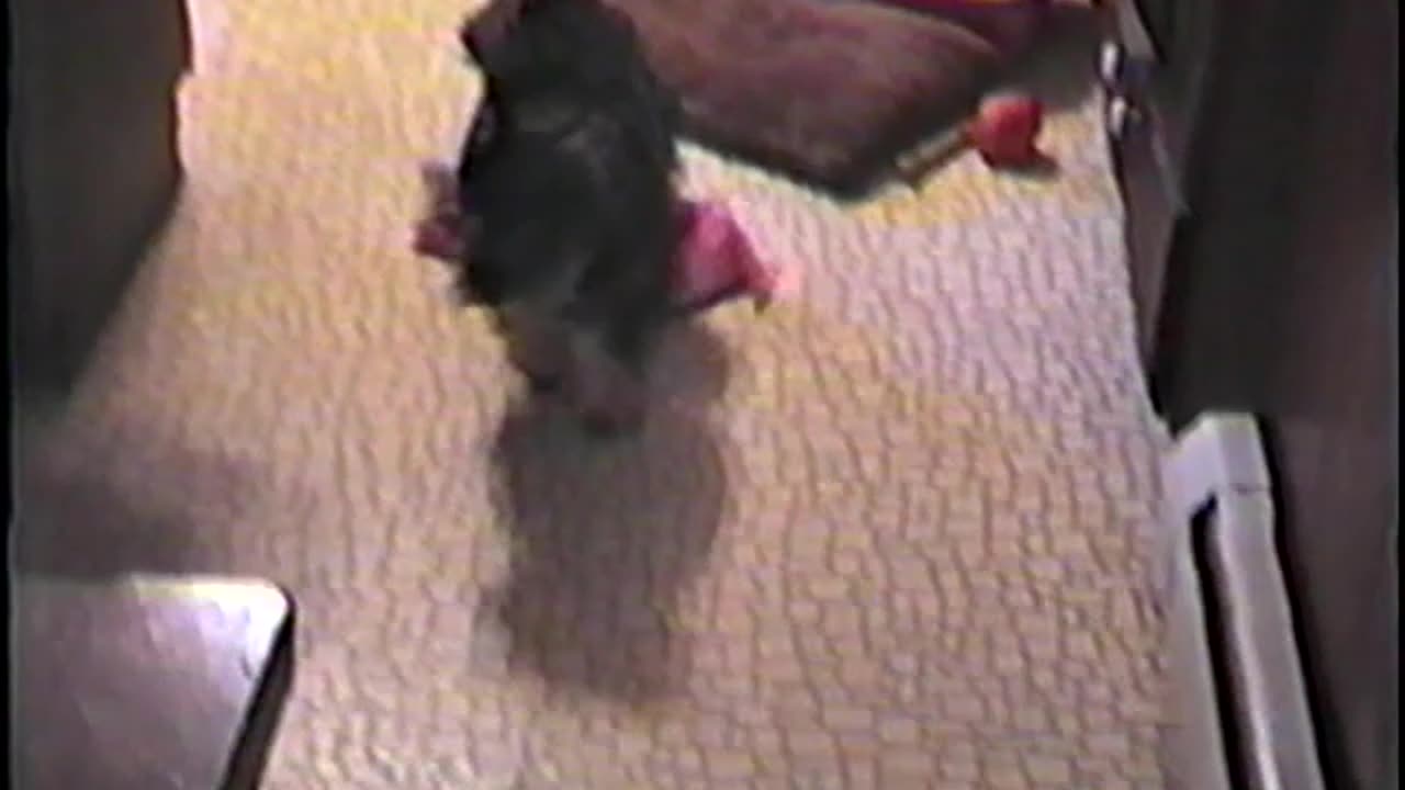 1988-NJ-Molly