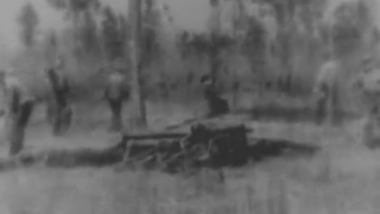 Saving the Beauty of Alabama: CCC at Work in Geneva State Park (1935)