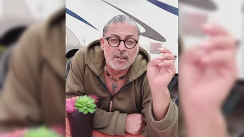 Narcissist Chronicles