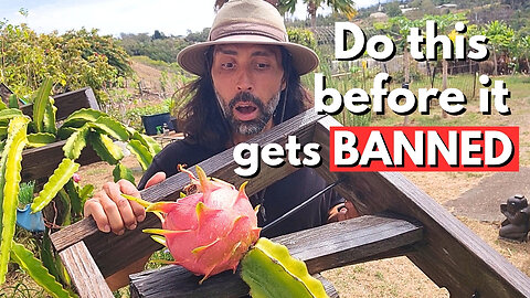 I Could Get BLACKLISTED For Sharing This Dragon Fruit Growing Bible!