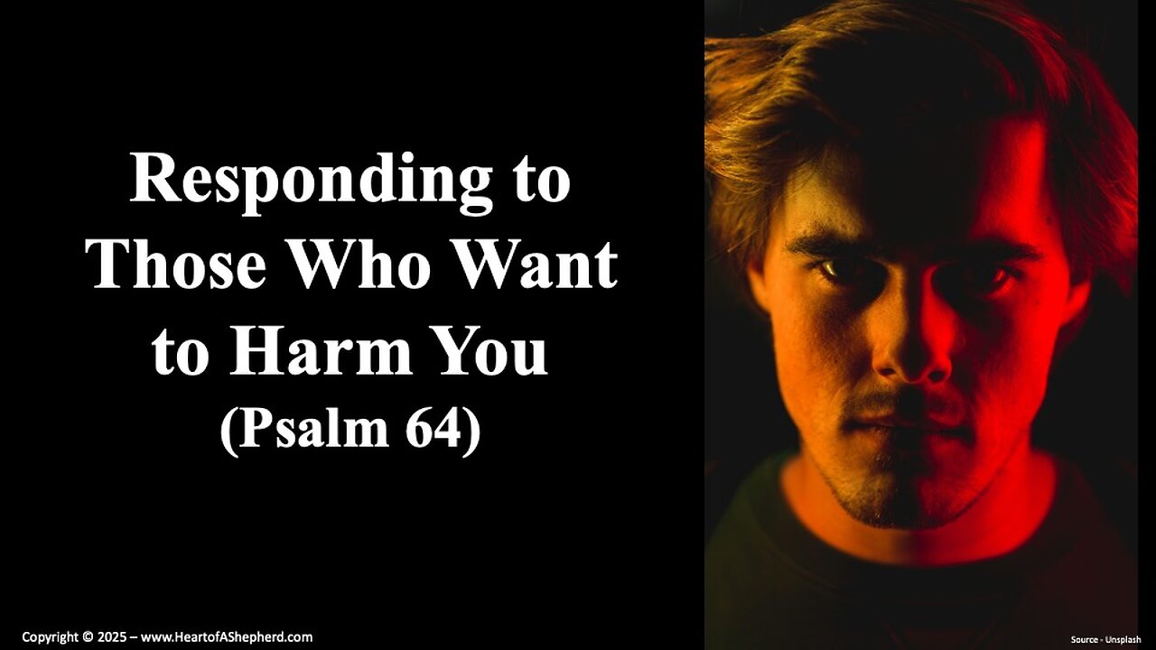 Responding to Those Who Want to Harm You (Psalm 64), Daily Bible study from www.HeartofAShepherd.com