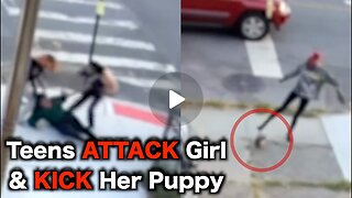 Bronx TEENS Attack Child & Kick Her Dog