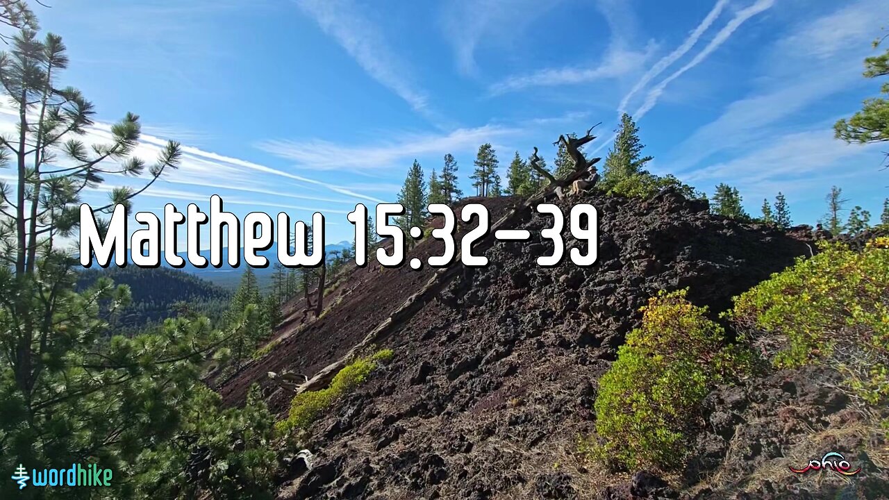 Matthew 15:32-39, Bible Reading in Nature, BSB