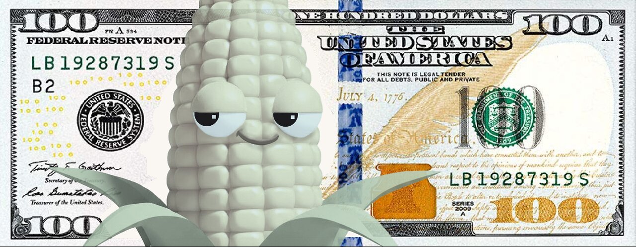 Earn Free Crypto… Web3 Tasks… Early Shares… Time-Sensitive Blockchain Opportunities 🚀