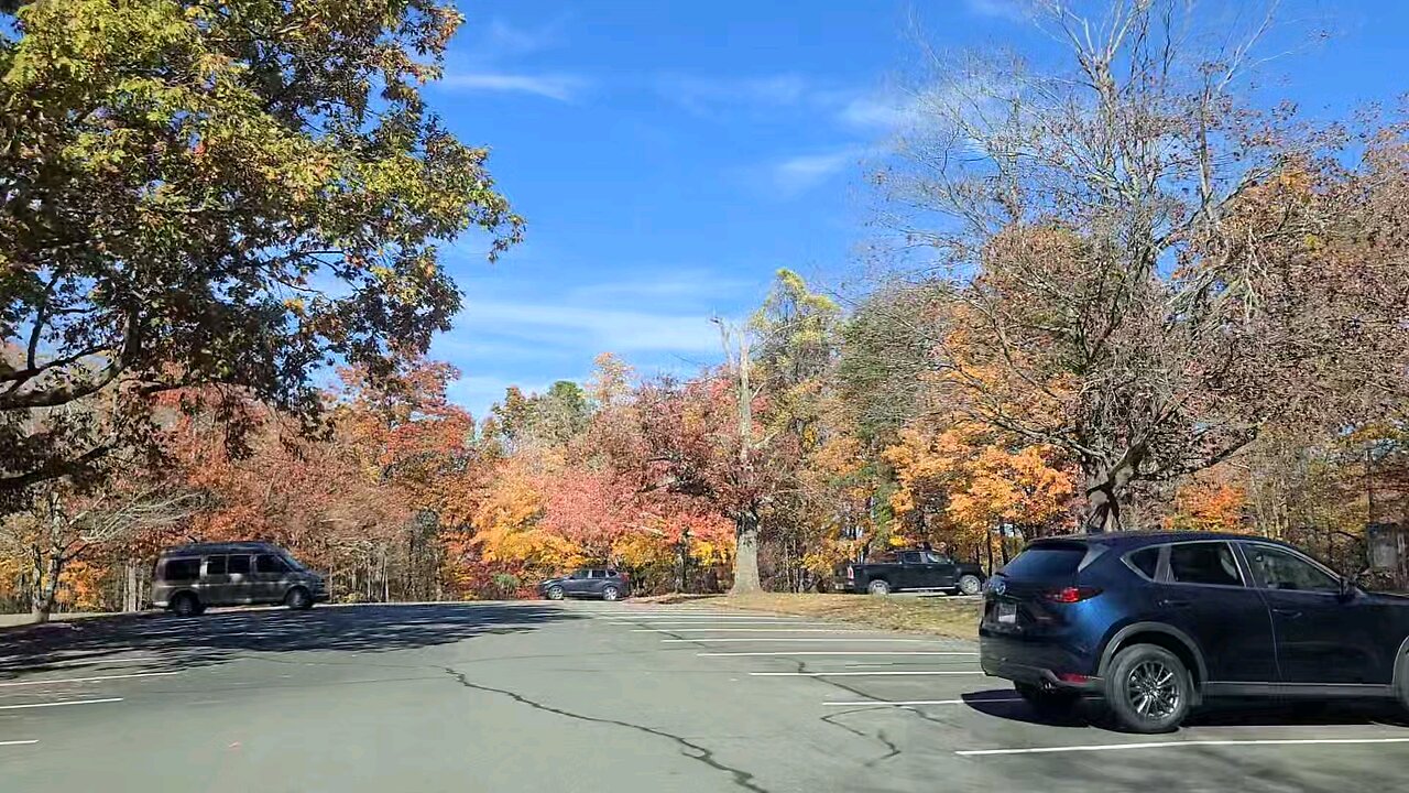 Fall Colors Up The Mountain