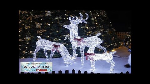 Christmas Family of Three Large Luminous Deer LED String Lights USB Battery Review