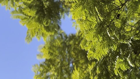 Personajes enigmáticos Barcelona 6