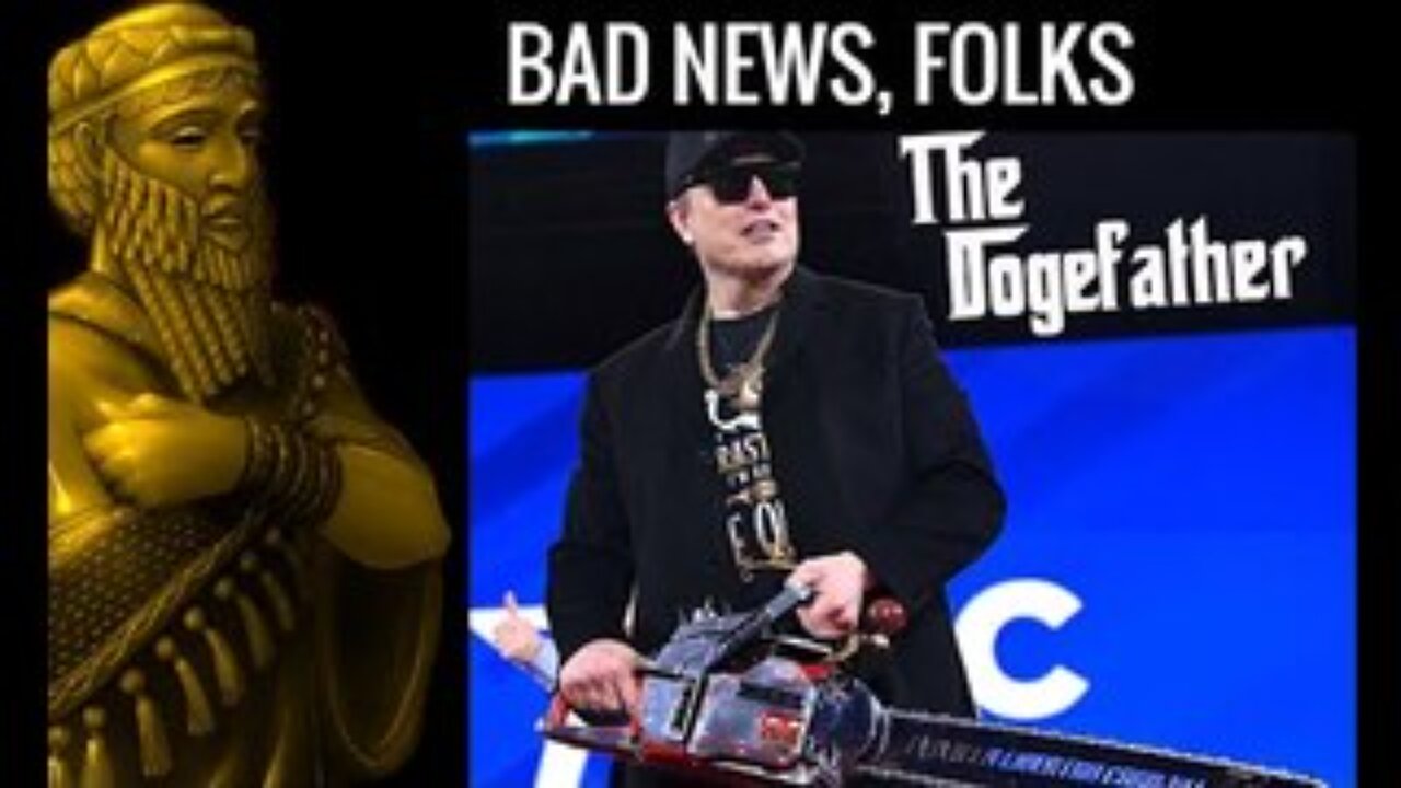 What Happened to DOGE?