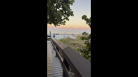 Full Moonset Negative Tide Shelling! | 4K