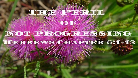 The Peril of Not Progressing- Hebrews 6:1-12