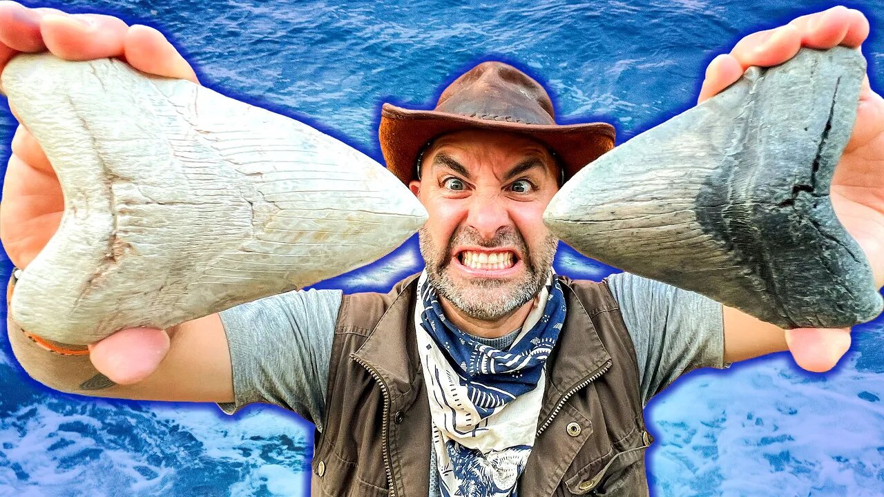 Shark Tooth Challenge! Digging for GIANT Megalodon Teeth