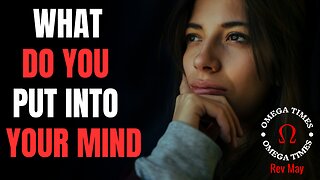 What Do You Feed Your Mind