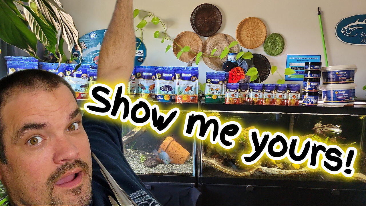 come up and share your aquariums with us!