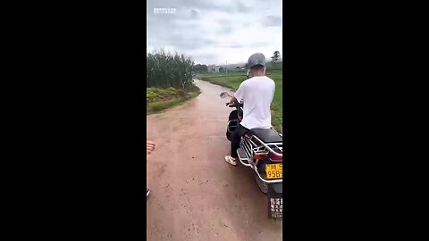 Fails that will make your Day better