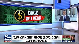 Report: DOGE Is NOT Dead!