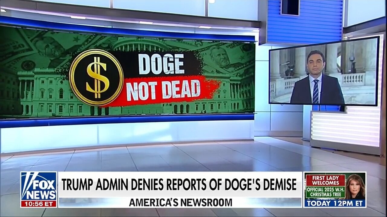 Report: DOGE Is NOT Dead!