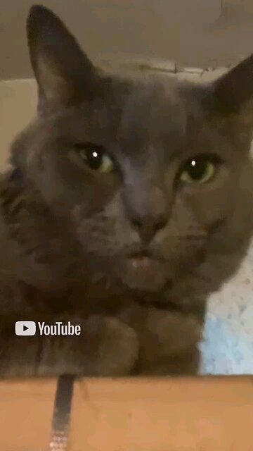 raising awareness about Drako