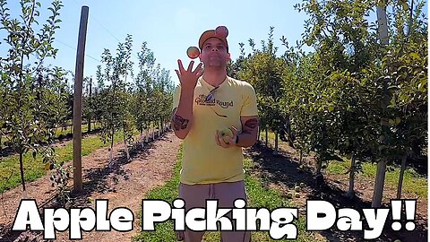 It's Fall, Y'all!! // Apple Orchards & Autumn Vibes