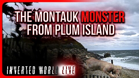 The Montauk Monster From Plum Island