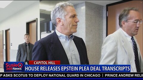HOUSE RELEASES EPSTEIN PLEA DEAL TRANSCRIPTS