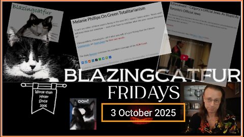 Blazing Cat Fur Fridays