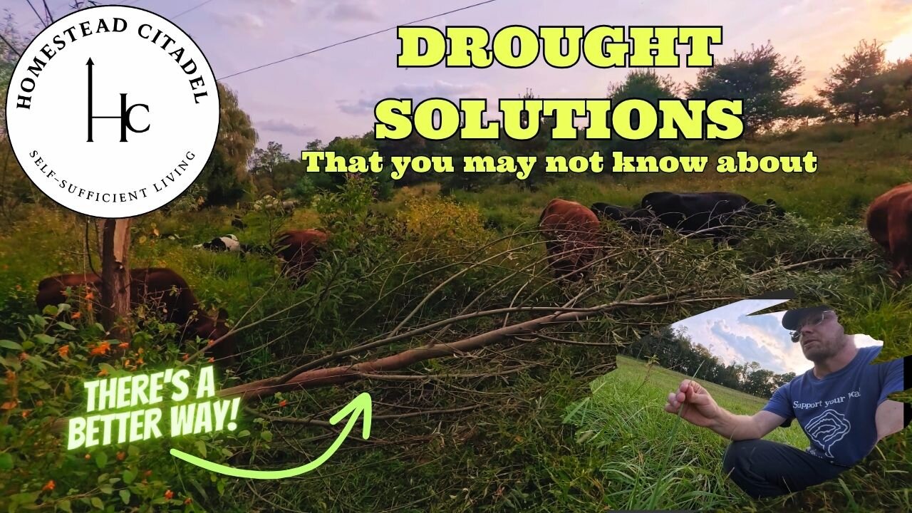 Drought Solutions Most Farmers DON'T Know About - Plan NOW!