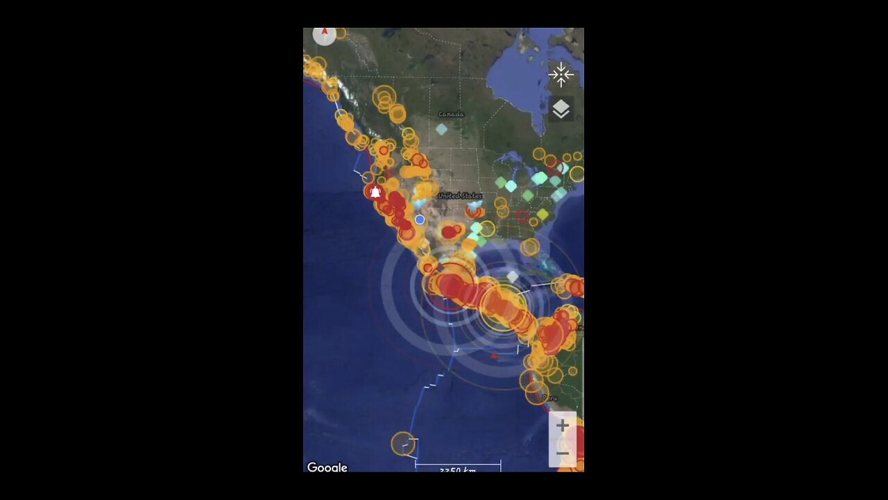 Special D.U.M.B's Report! 💥 MEXICO 🇲🇽 FLORIDA 🏝