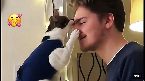 When a Cat Loves You 😍 Funny Cat videos 2025