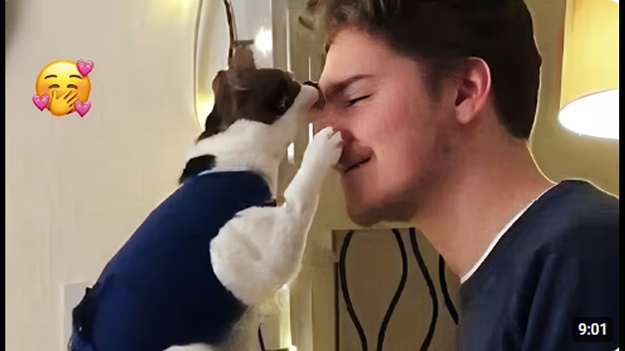 When a Cat Loves You 😍 Funny Cat videos 2025