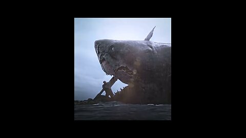 what is this how big fish