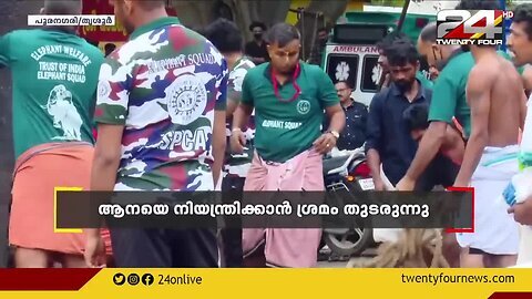 പൂര നഗരിയിൽ ആനയിടഞ്ഞു; ഉടൻ തളച്ചു; ആശങ്കയൊഴിഞ്ഞു