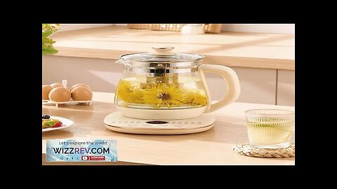 220V Health Pot Household Multifunctional Glass Electric Kettle Flower Teapot Tea Pot Review