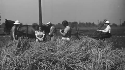 [DYNAMIC KERNALS] - [DYNAMIC KERNALS] - fc-fc-4387