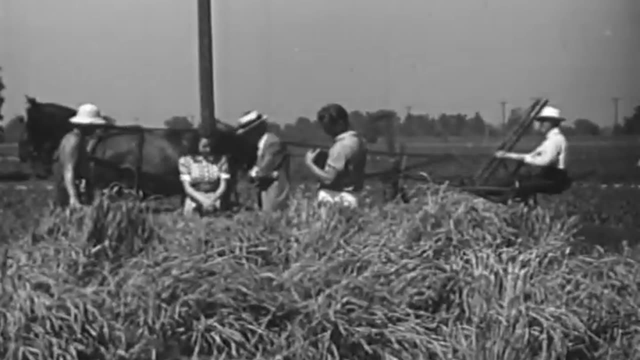 [DYNAMIC KERNALS] - [DYNAMIC KERNALS] - fc-fc-4387