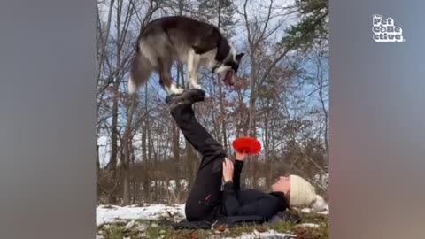 Super Talented Animals | FUNNY And CUTE Pet Videos