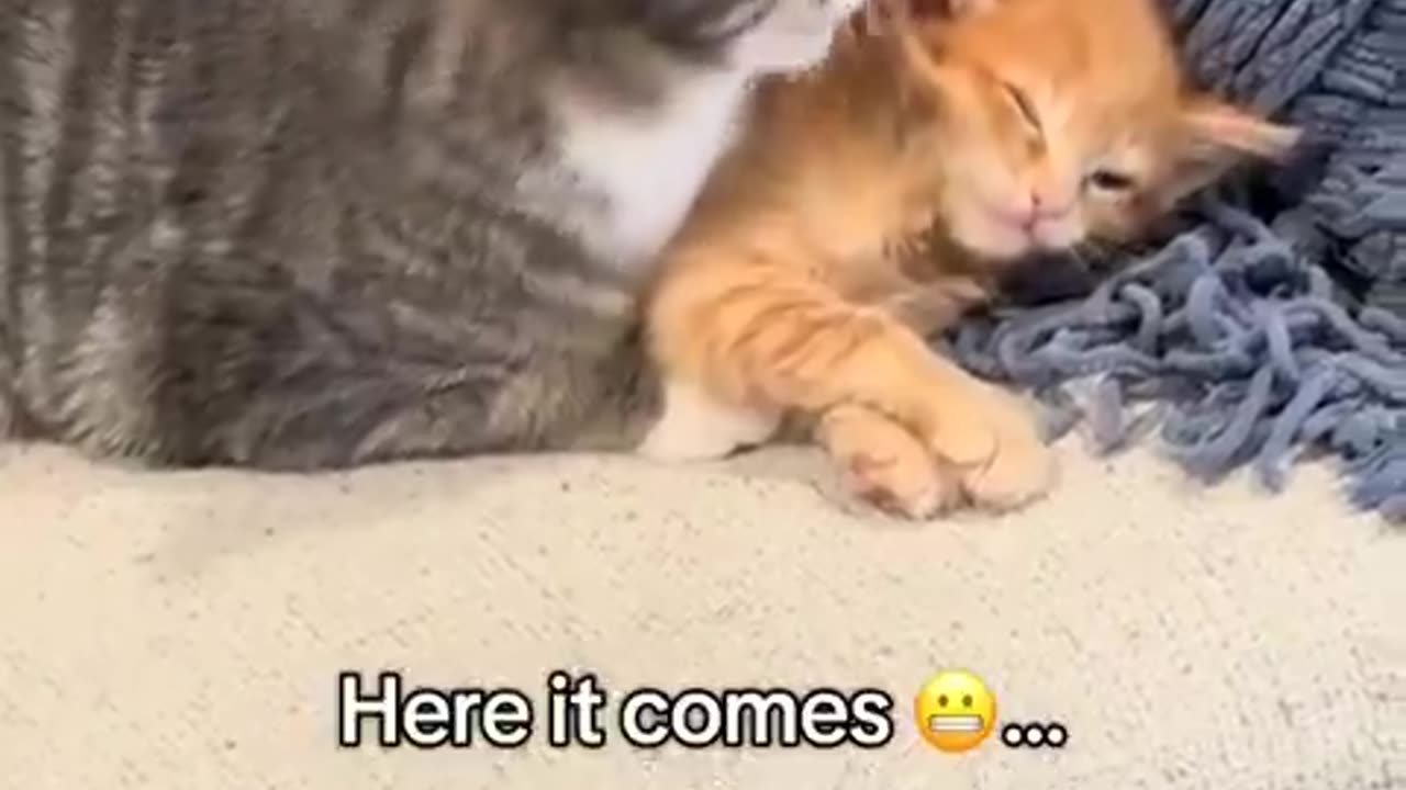 She wasn't mad, just disappointed